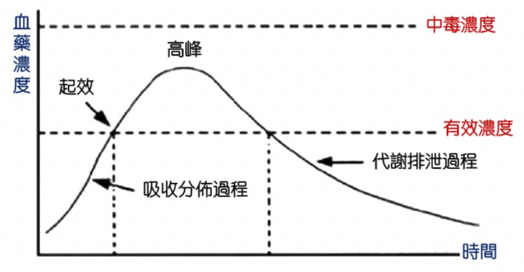 代謝與排洩